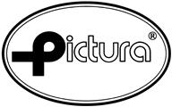 Pictura